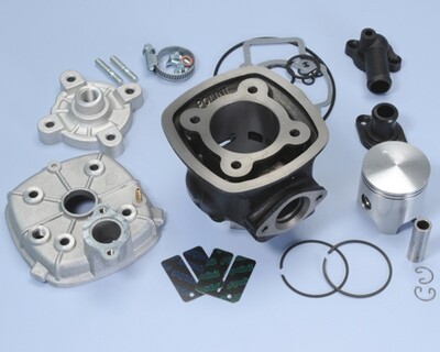GRUPPO TERMICO POLINI 75cc IN GHISA per PIAGGIO QUARTZ-NRG-ZIP SP