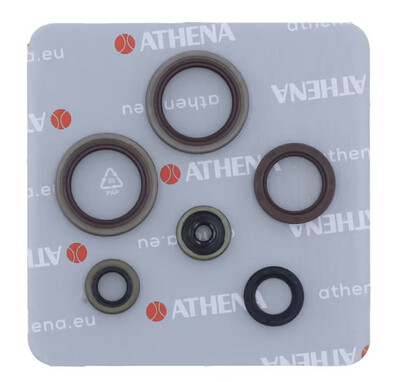 SERIE PARAOLI MOTORE BETA RR 125/200 2tempi 2018-2025
