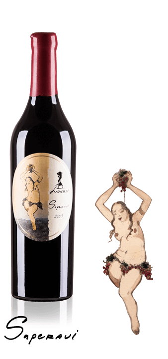 Lukasi Saperavi 2015 Georgia Dry Red