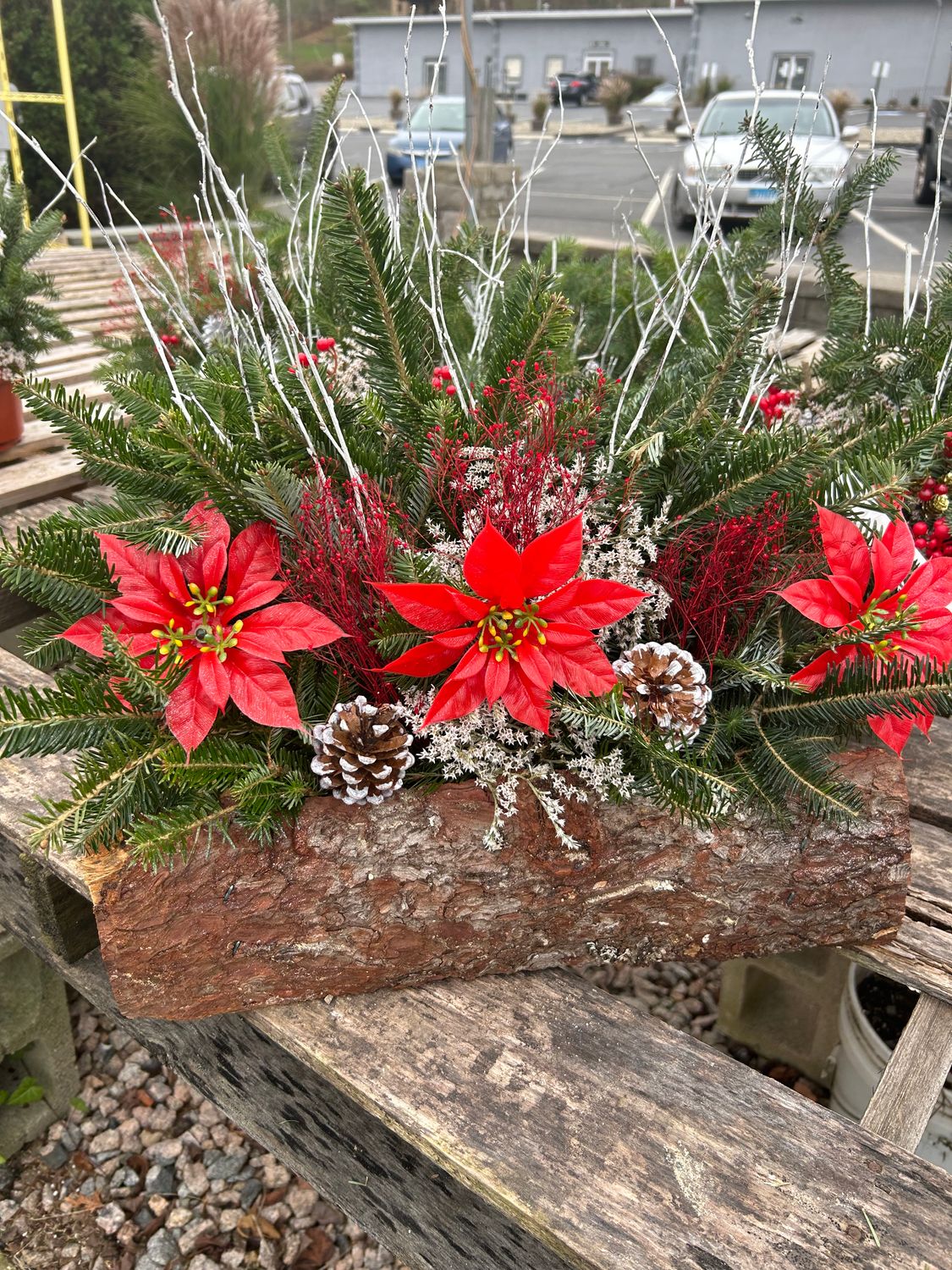 Traditional Yule Log