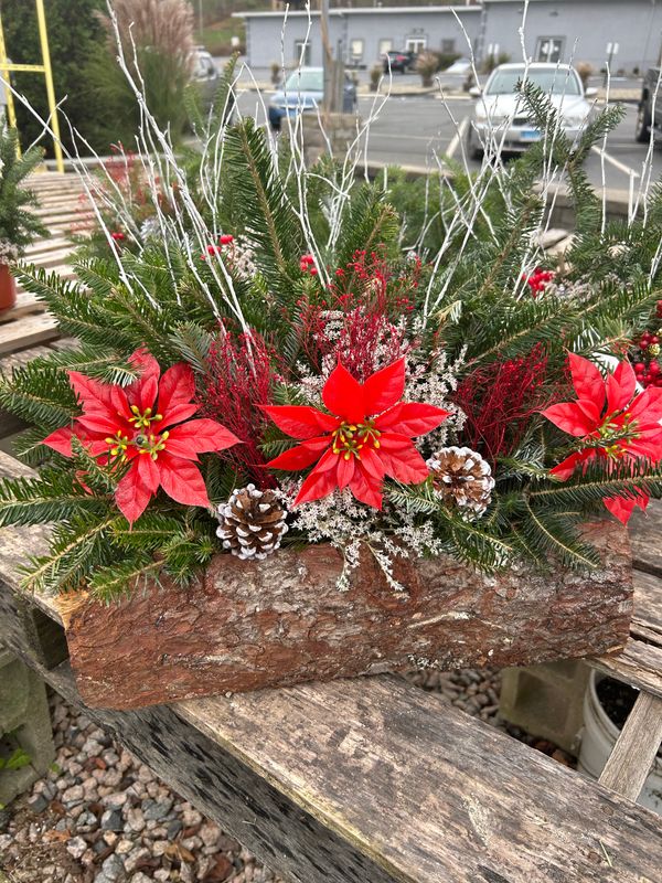 Traditional Yule Log