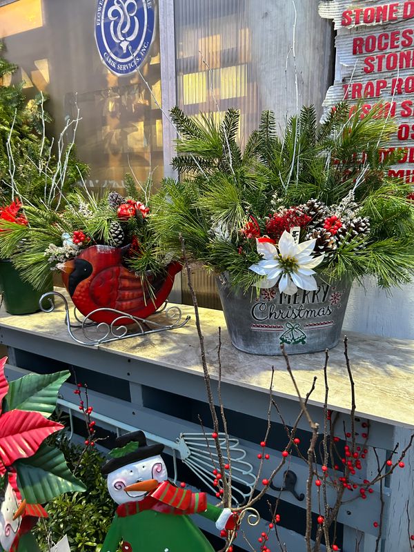 Winter Mix Country Tin