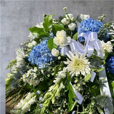 Peaceful Reflections