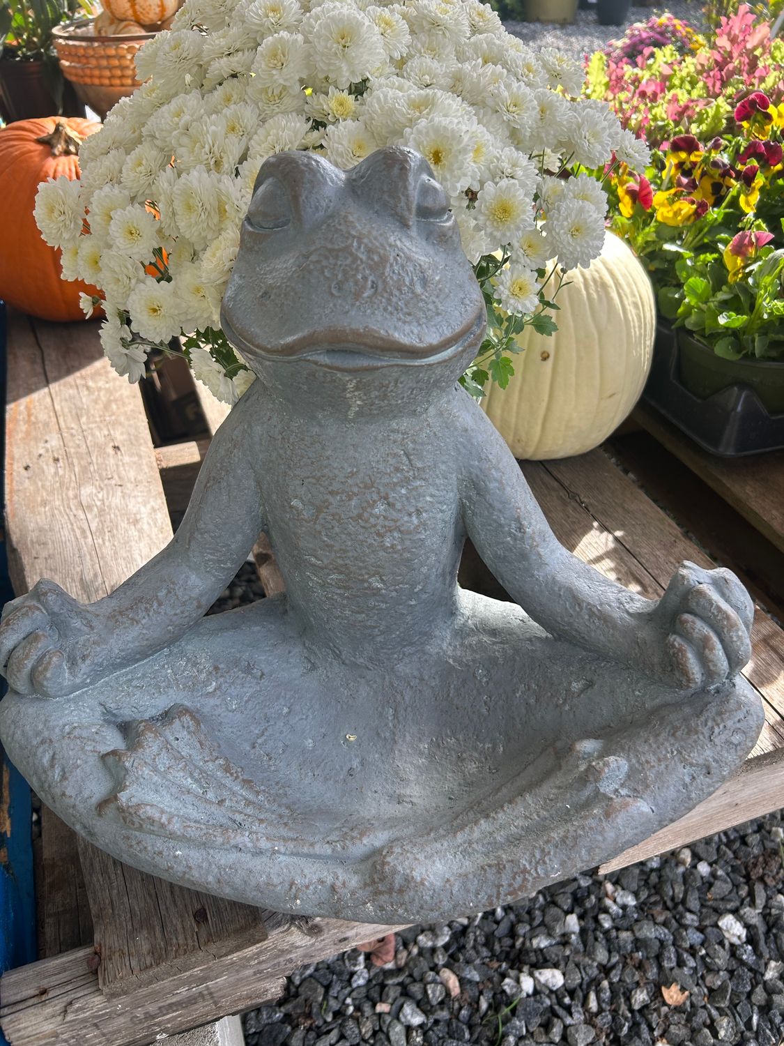 Yoga Frog