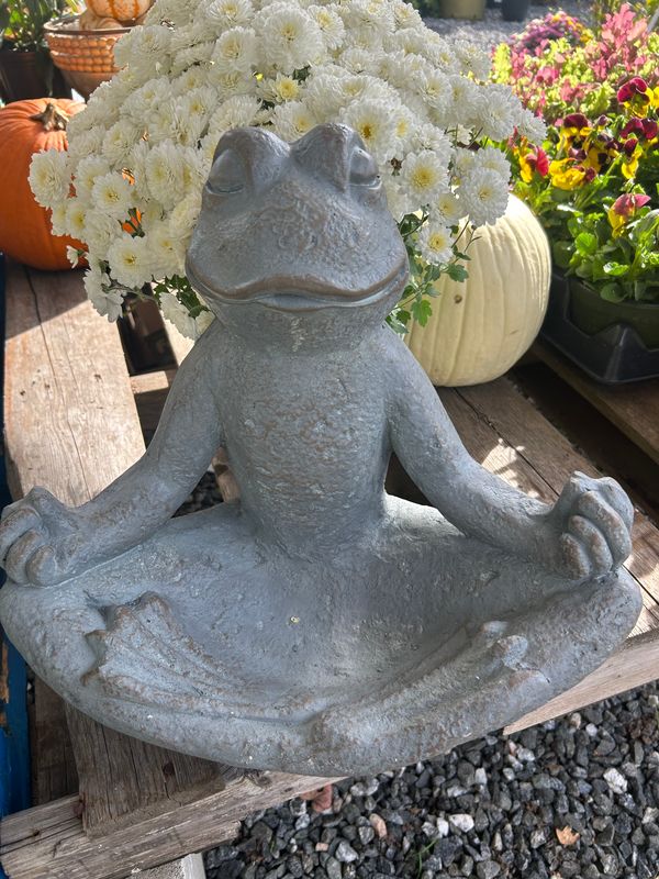 Yoga Frog