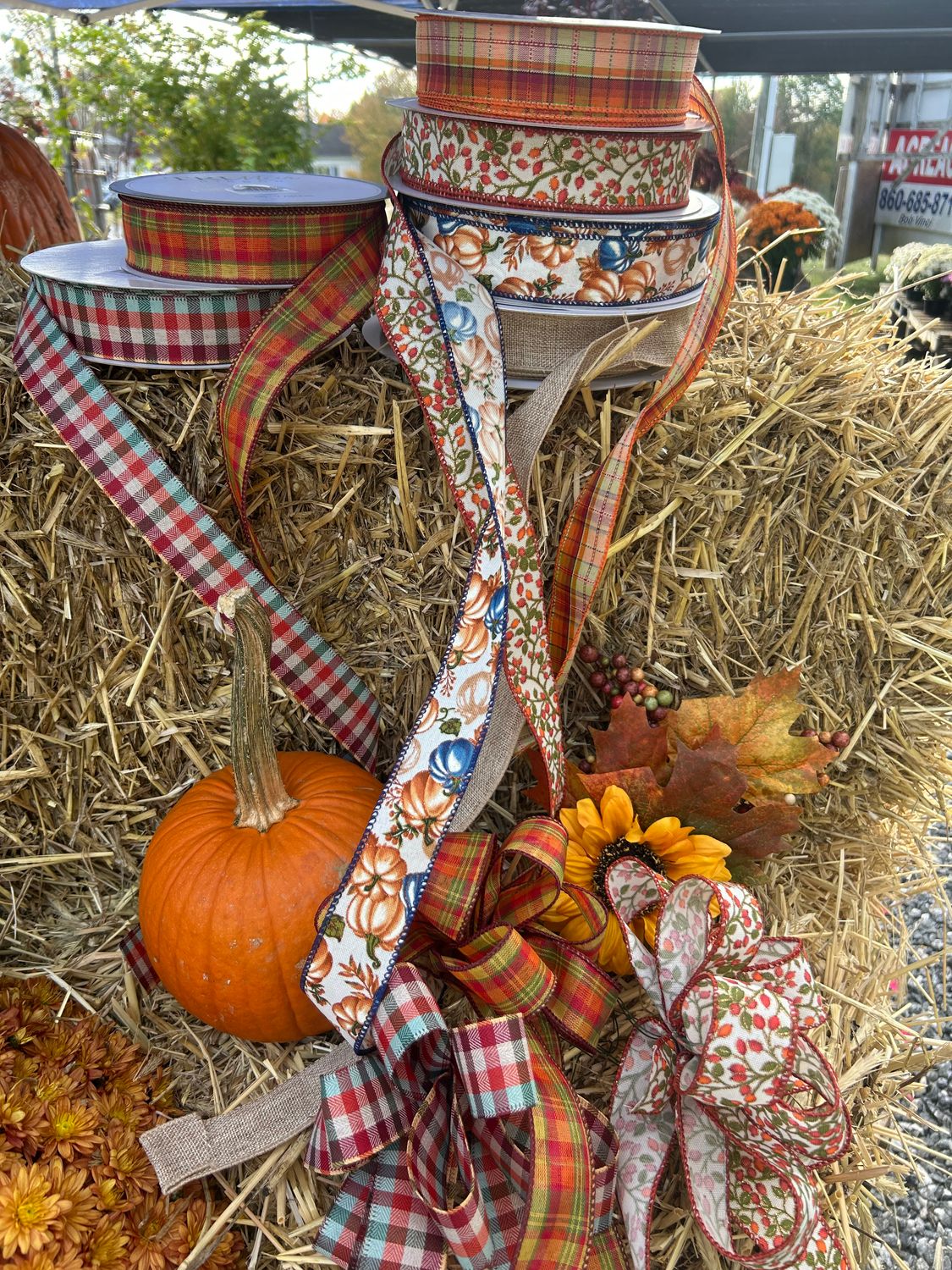 Custom Bows