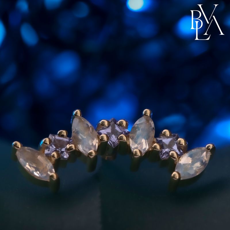 Fiona Faceted Rainbow Moonstone, Tanzanite 14g Threaded End 14k Yellow Gold