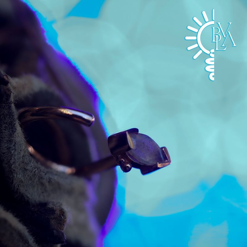 Beaded Marquise Labradorite Snail 18g 1/4" 14k White Gold