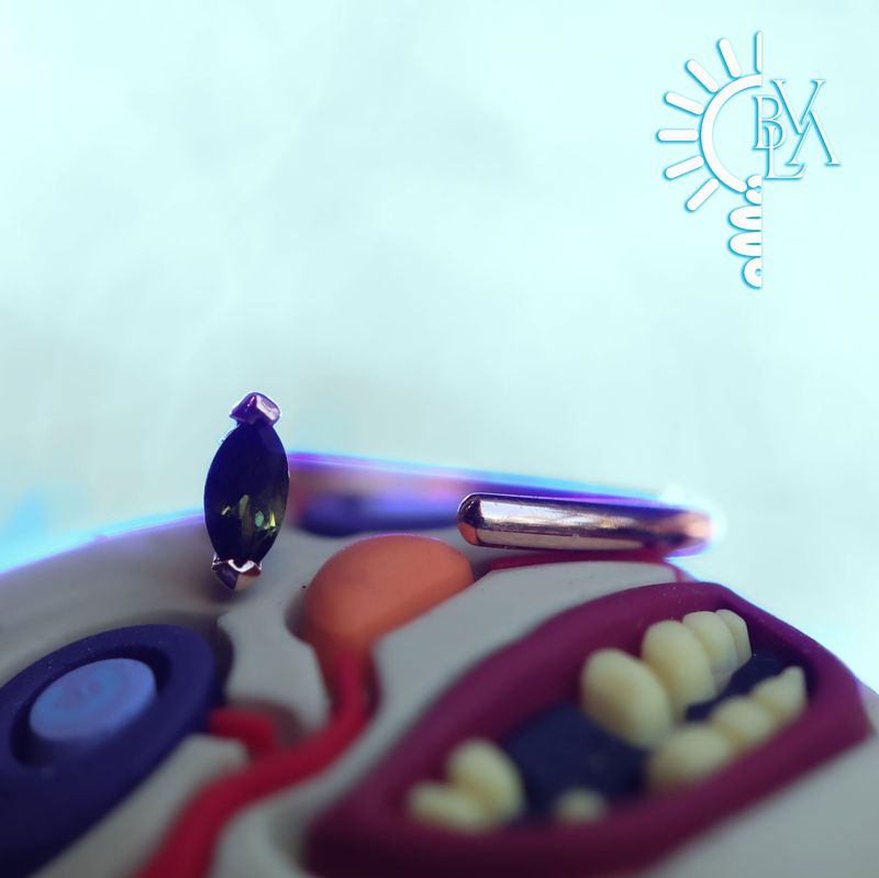 Marquise V Prong Green Tourmaline Snail 18g 9/32" 14k Rose Gold