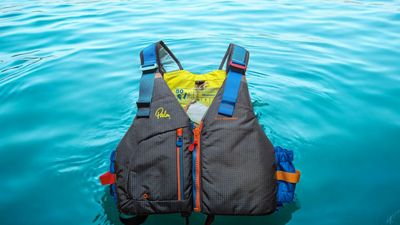 Palm Meander Schwimmweste *Sonderedition* Harlequin