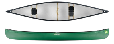 Silverbirch Broadland 16 Duralite Wald Grün