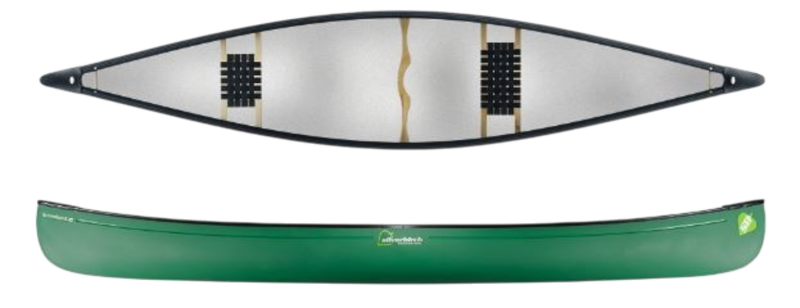 Silverbirch Broadland 16 Duralite Wald Grün