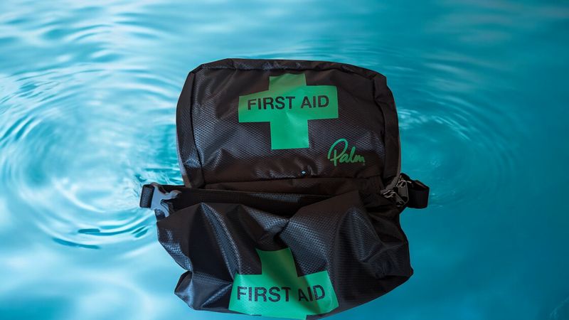 Palm First Aid Organiser Black One Size 5 Liter