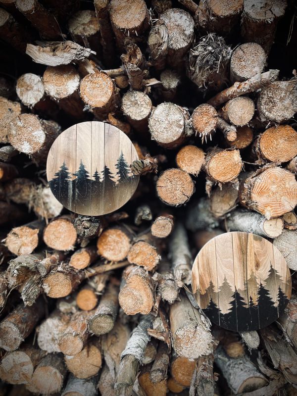 LAS - orzech włoski / 2 sztuki