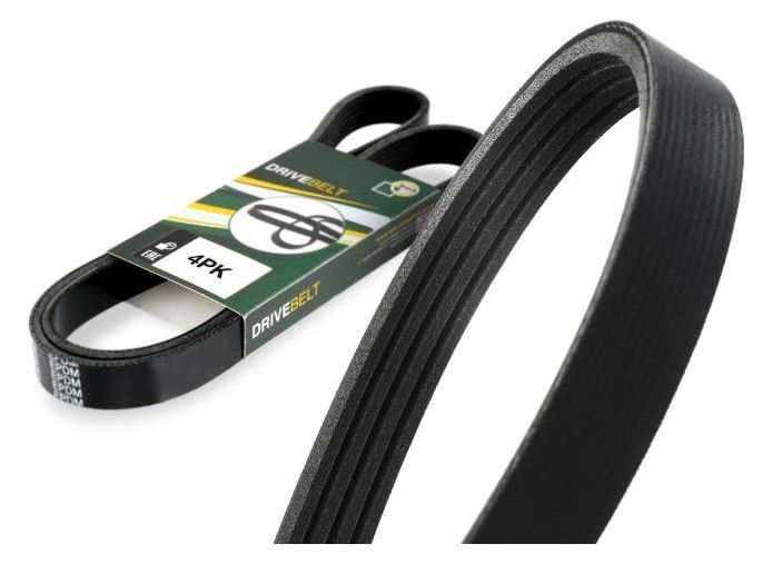 Multi V-Belt Audi Bmw Citroen Fiat Hyundai 4PK855