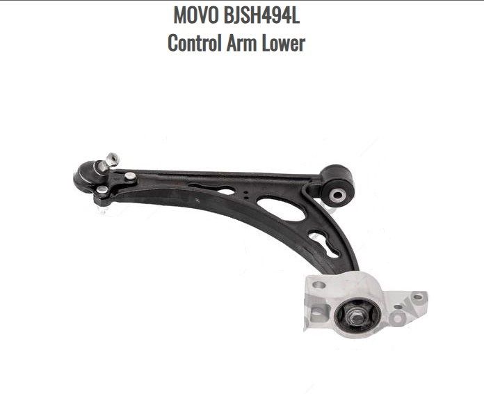Control Arm Lower Left BJSH494L