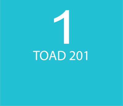 Fundamentos de TOAD Ágil/DevOps