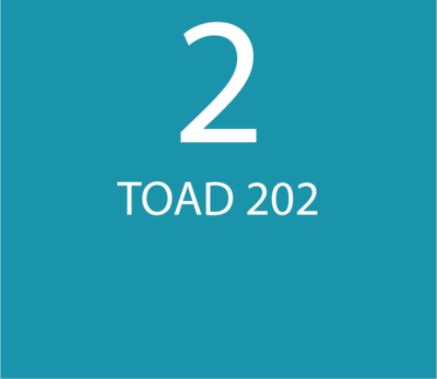 Desarrollo TOAD Ágil/DevOps y Control de Calidad