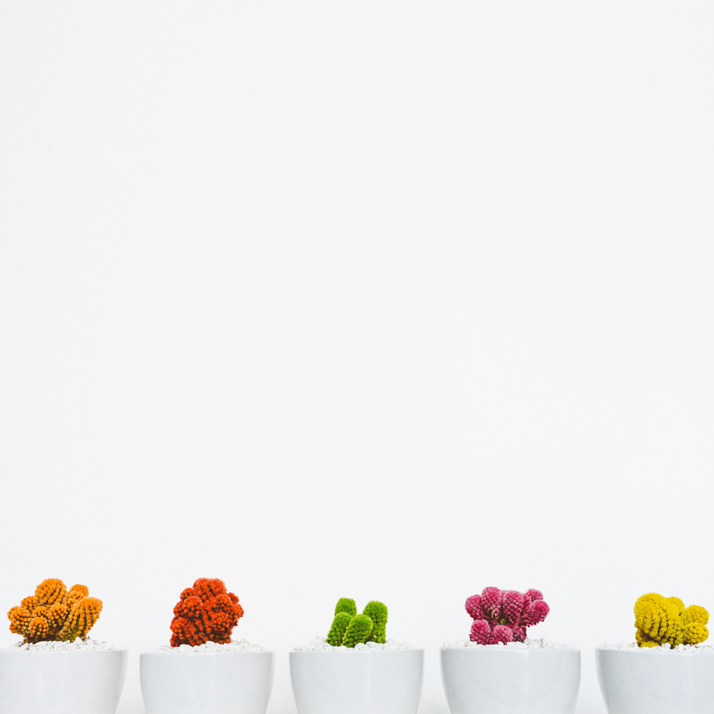 E-commerce Product Image