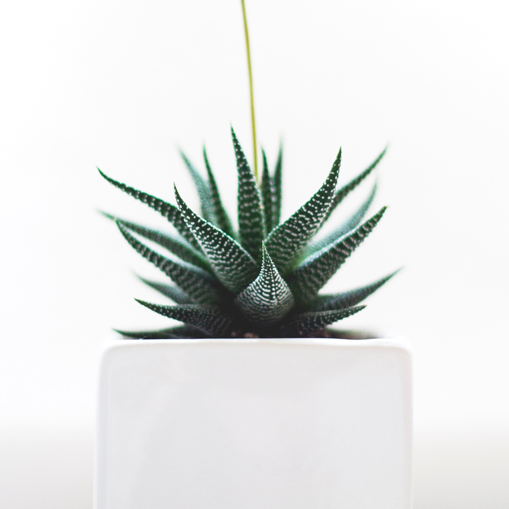 E-commerce Product Image