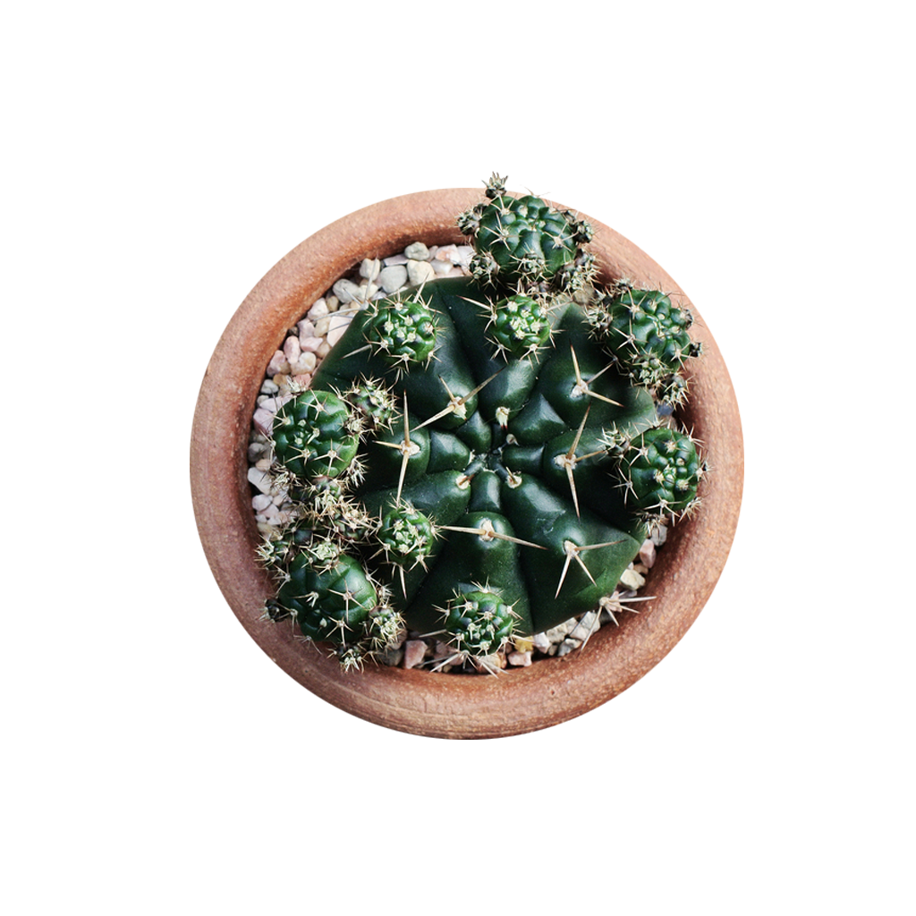 E-commerce Product Image