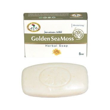 Golden Sea Moss
