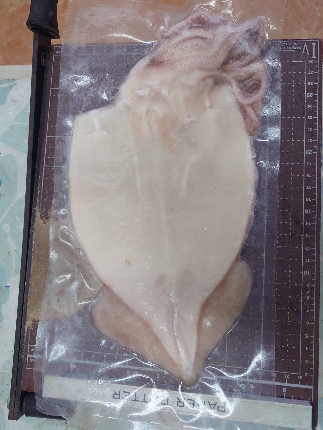 一夜干魷魚