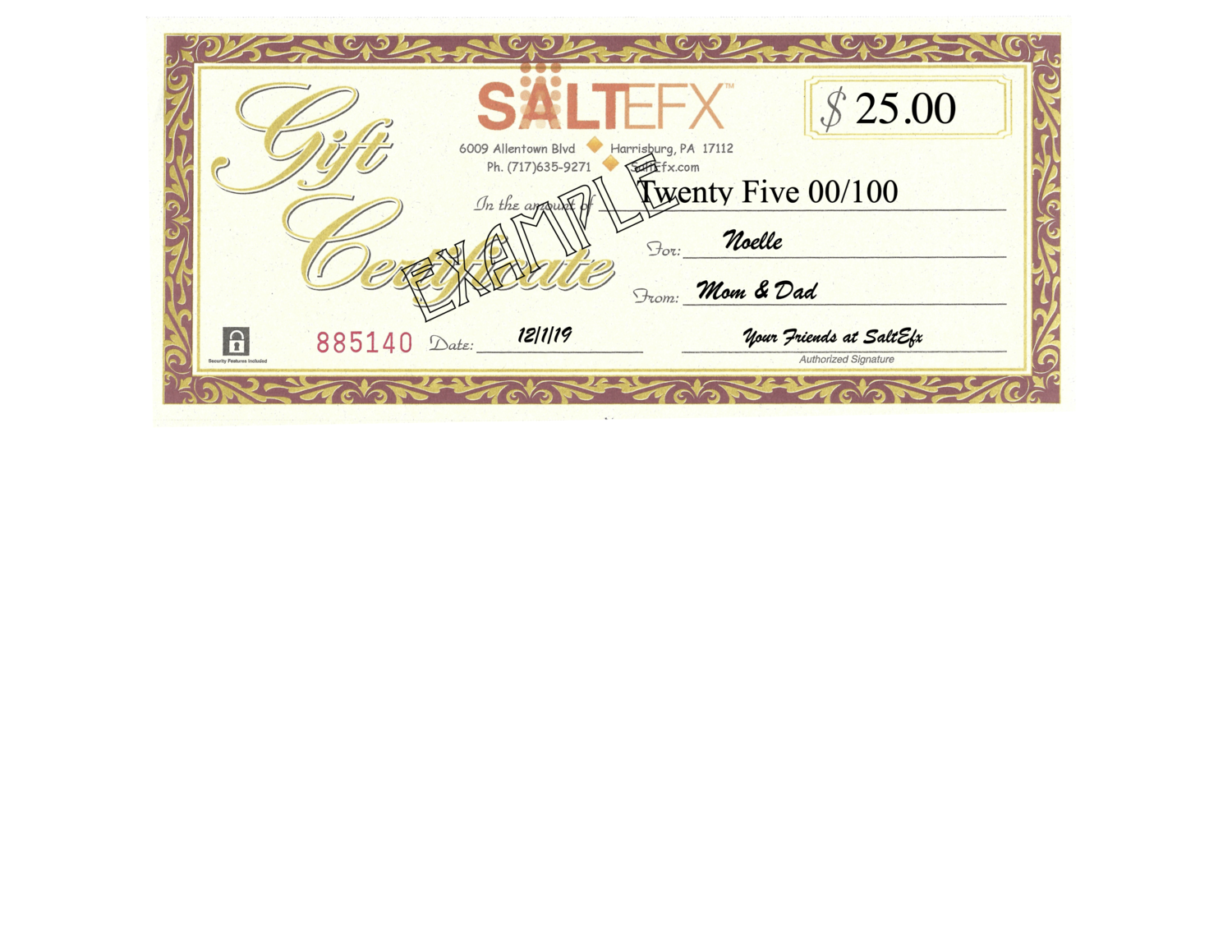 $25 SaltEfx Gift Certificate