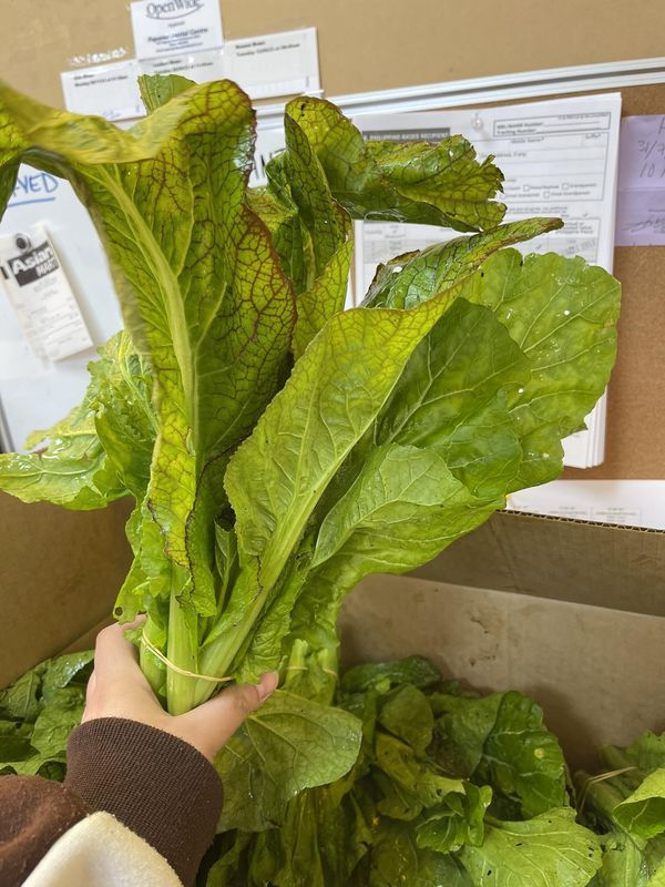 Mustard Leaves