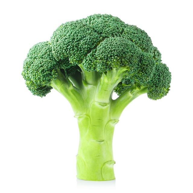 Broccoli- Fresh