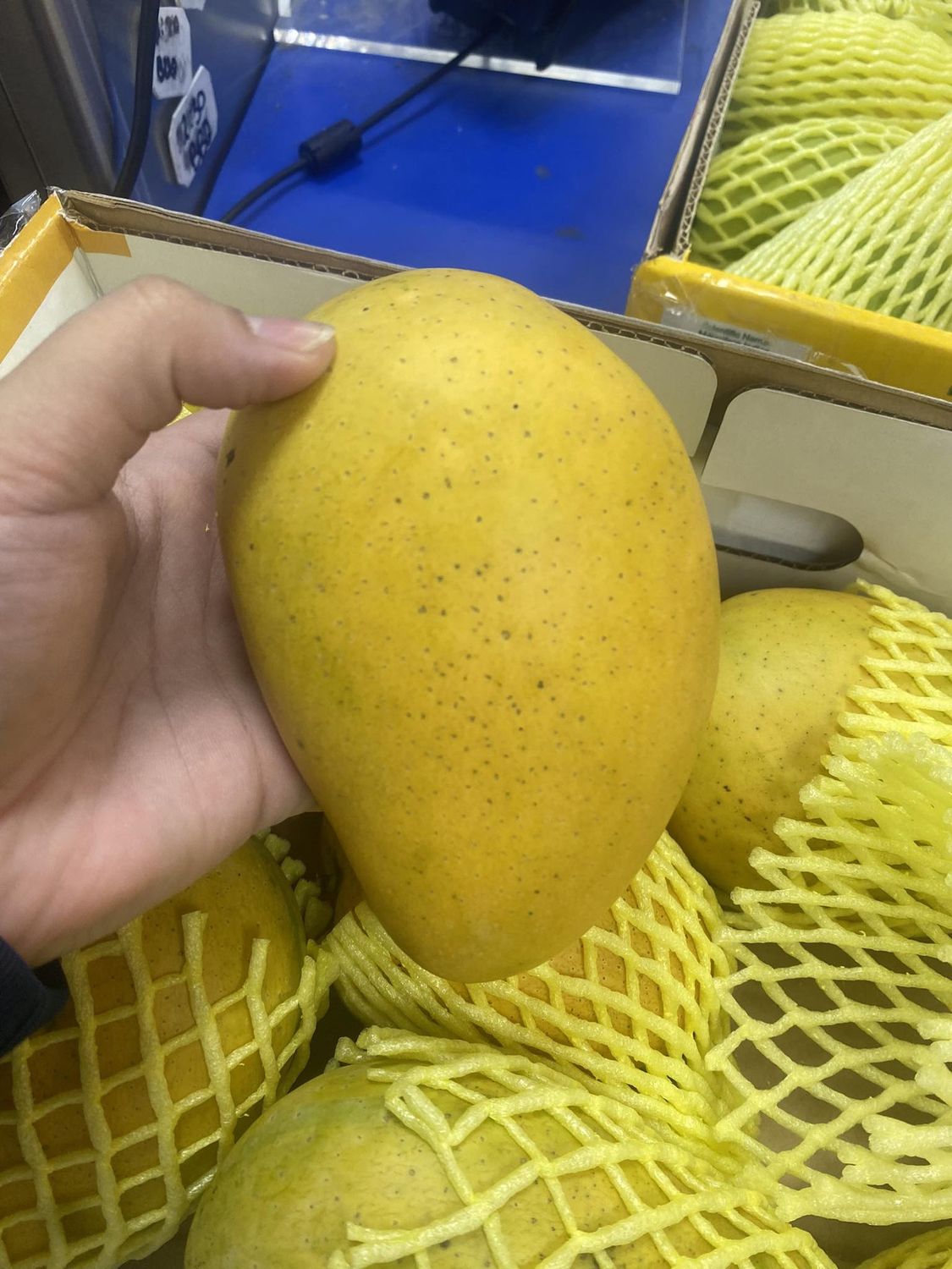 Banginapalli Mango each