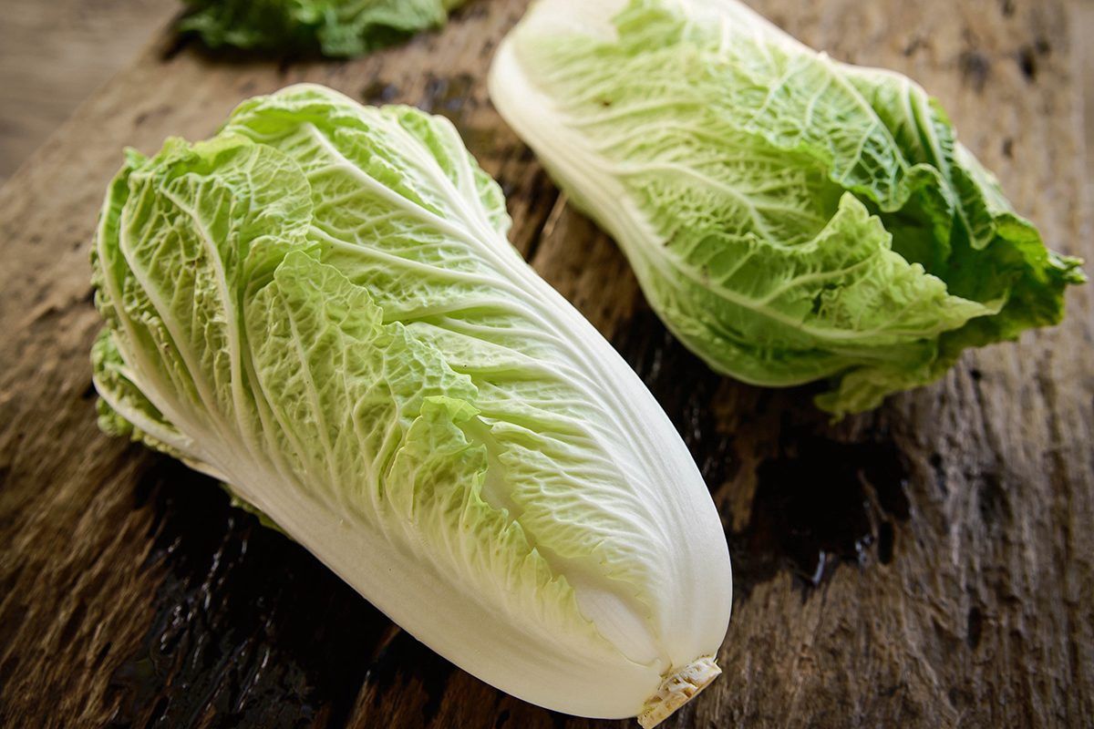 Chinese Cabbage