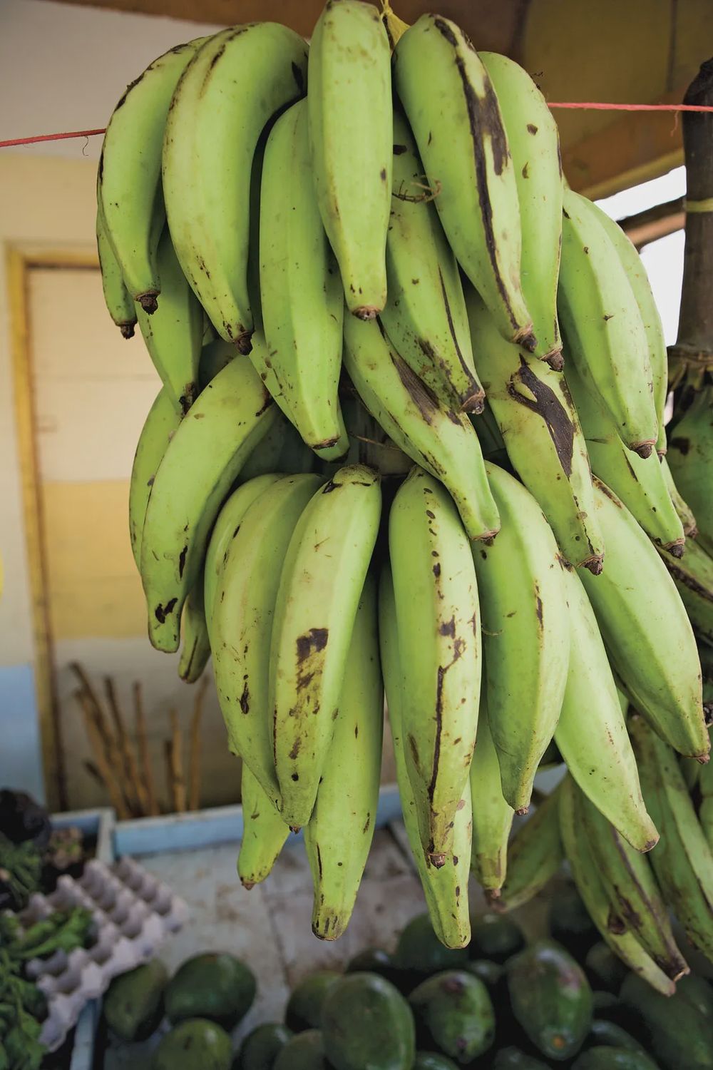 Fresh Plantain Banana Per KG