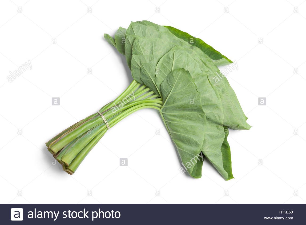 Fresh Taro Leaves Pack