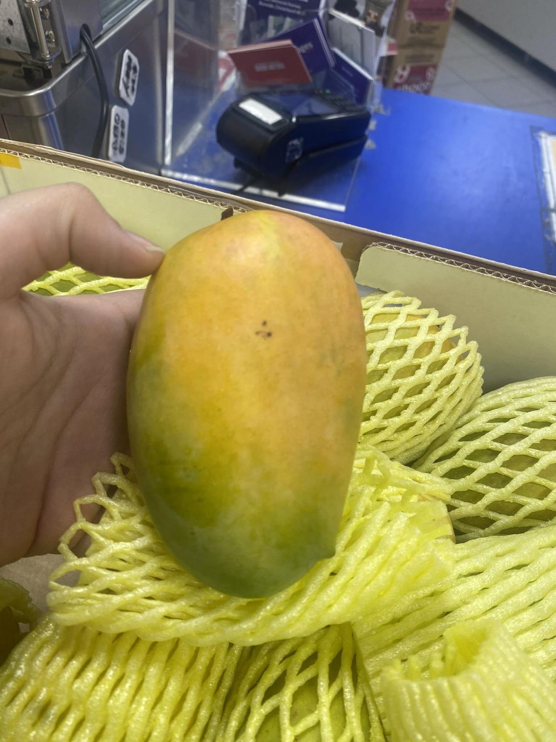 Kesar Mango Each