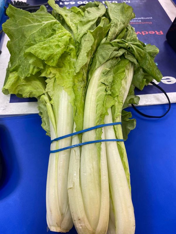 Taiwanese Cabbage