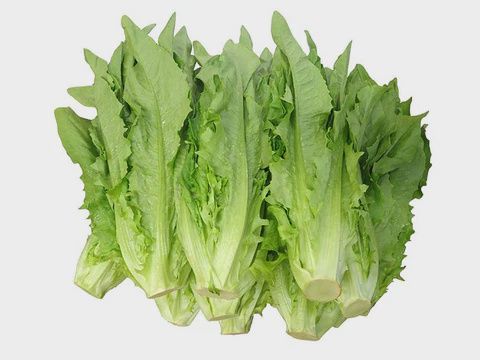 Chinese Lettuce