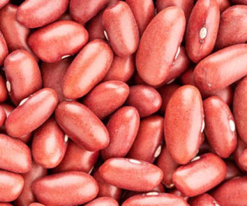 Light Red Kidney Bean 1kg