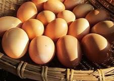 Gold Egg 30 pcs size 6