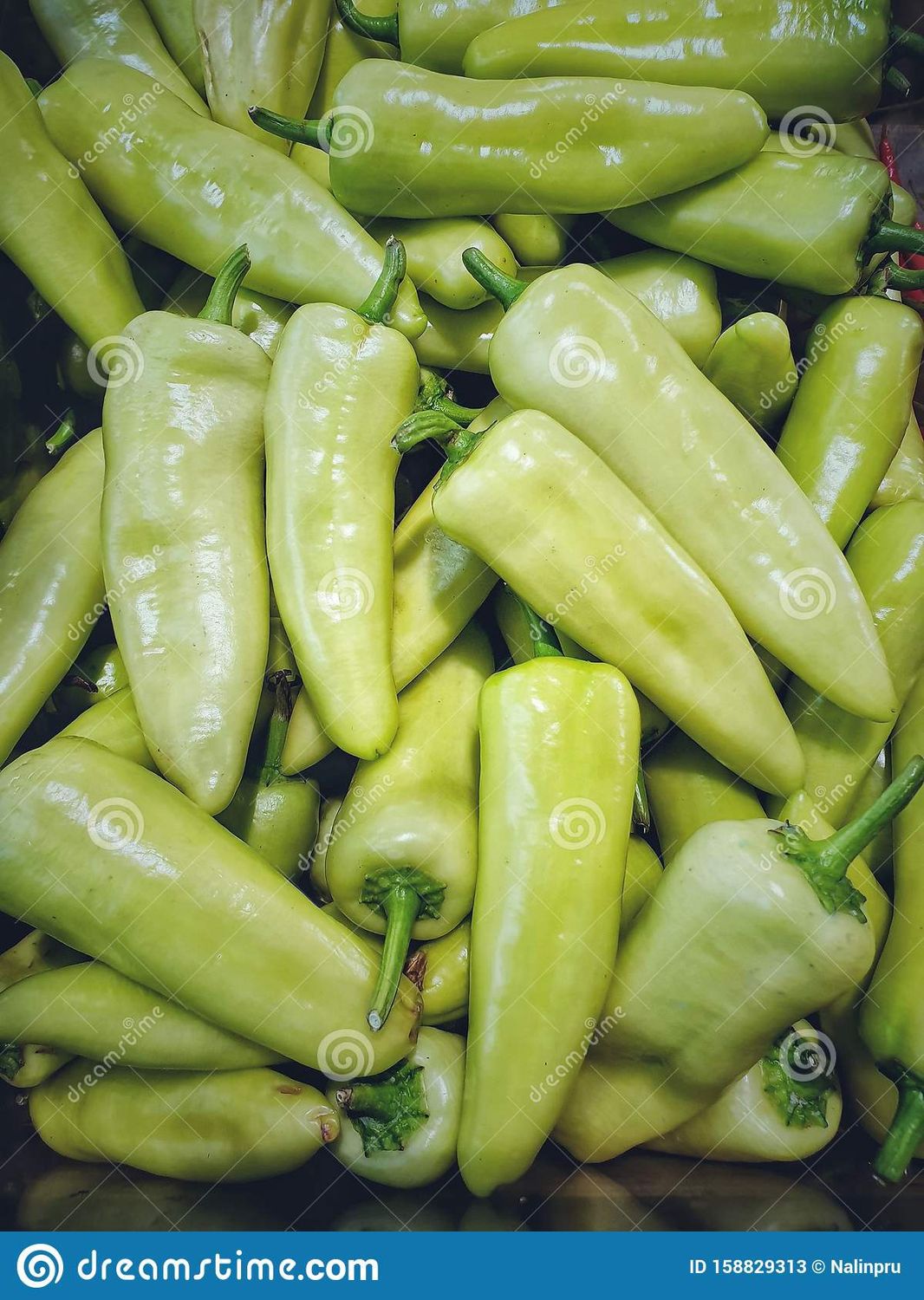 Large Chilli