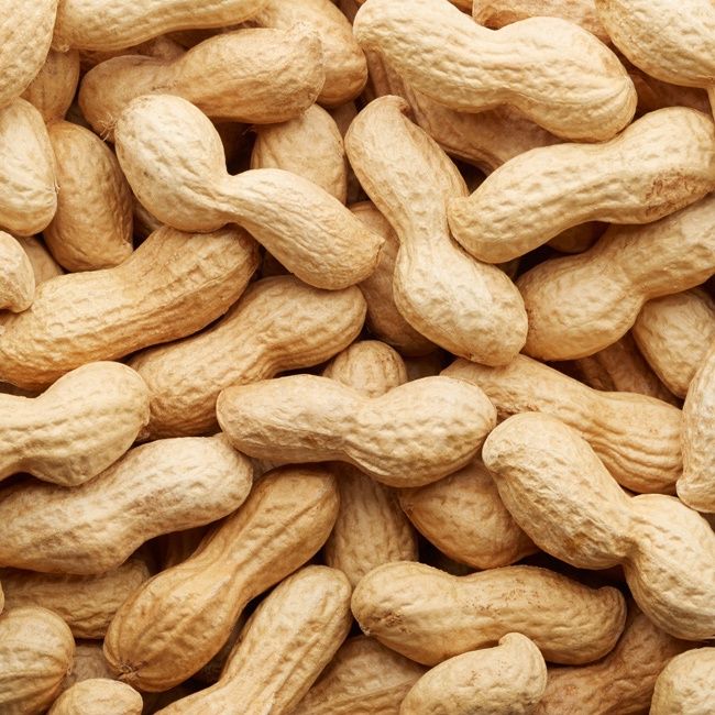 Roasted Peanuts in Shell Per kg
