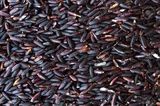 Black Glutinous Rice 25kg