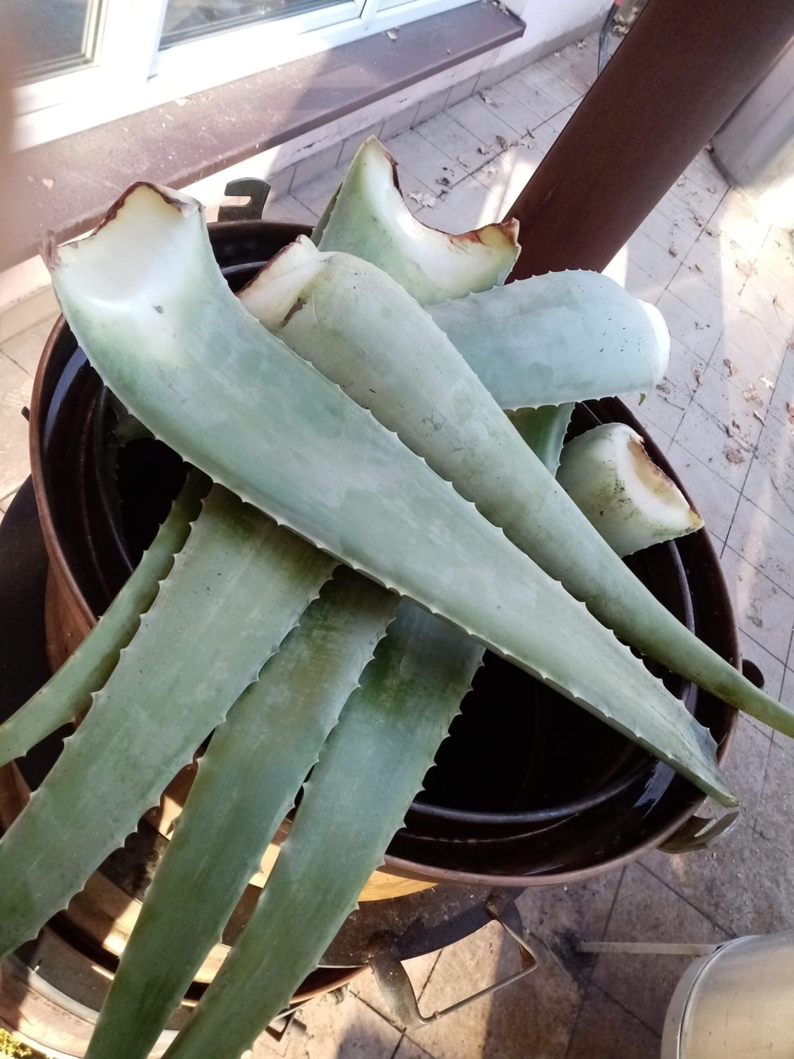 HYDROLAT Z AOLESU