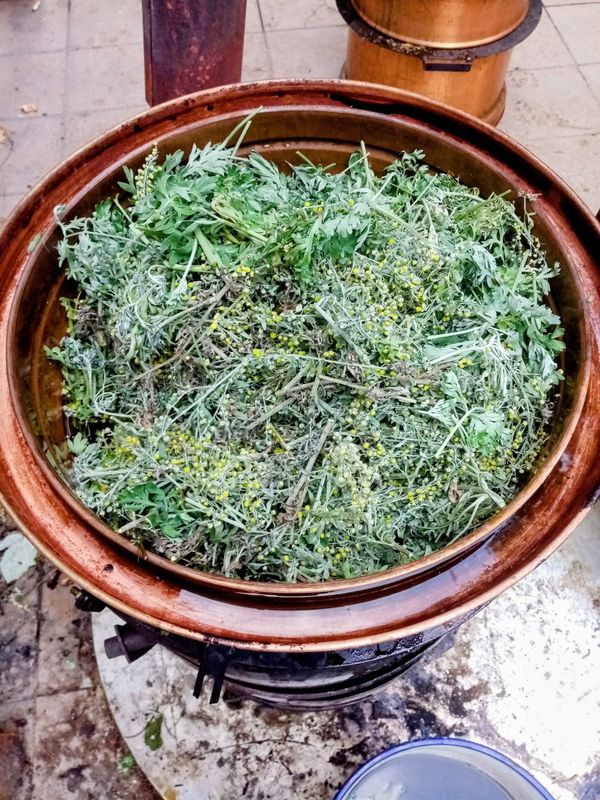 HYDROLAT Z PIOŁUNU