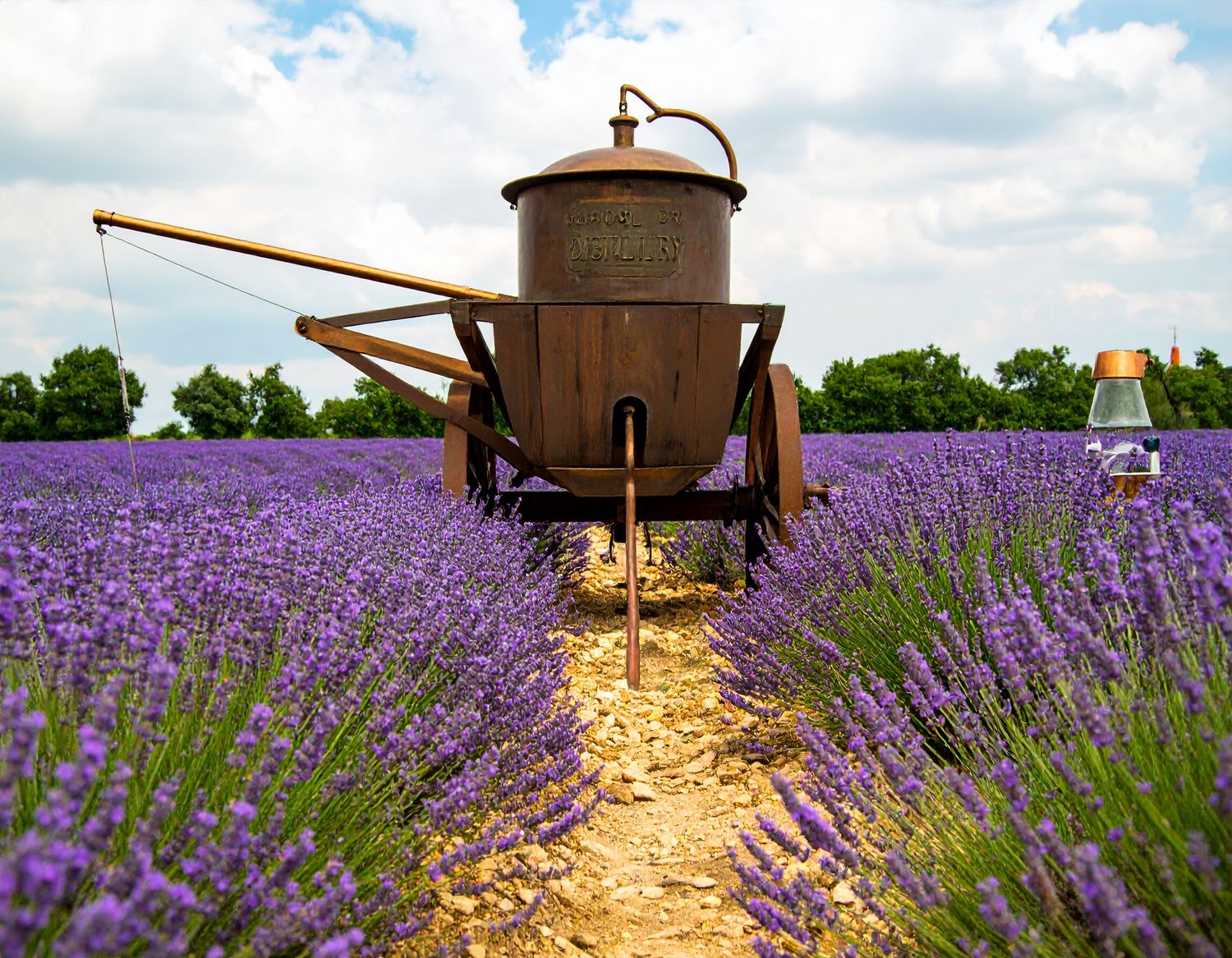 HYDROLAT Z LAWENDY JUBILEE