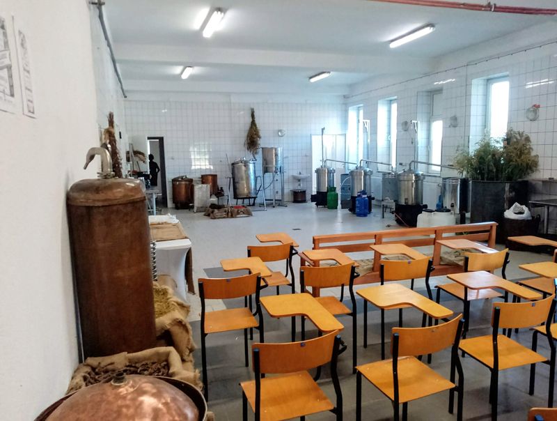 Kurs Aromaterapii Stosowanej — Blok I