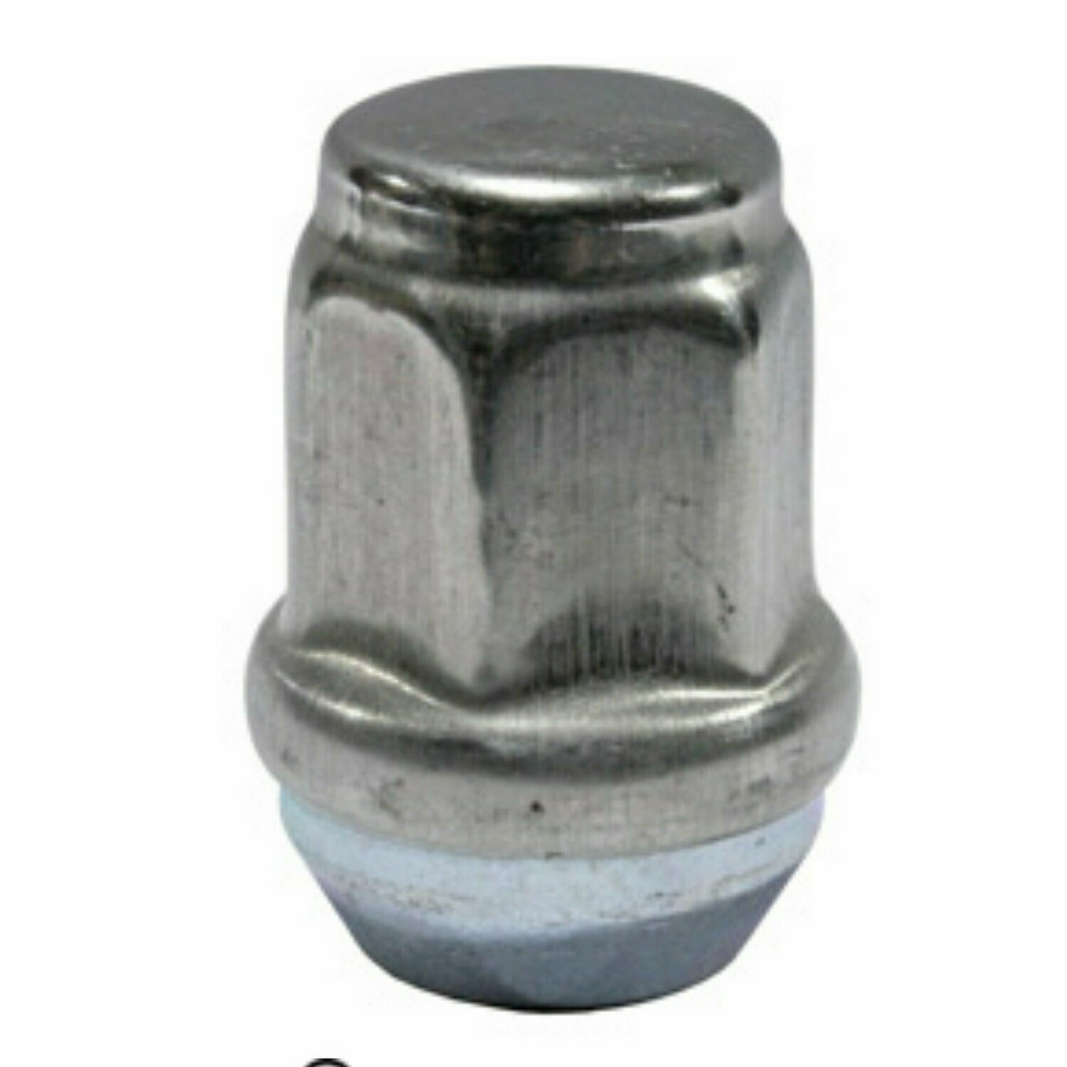 1/2in-20 Stainless Lug Nut 12SSLN