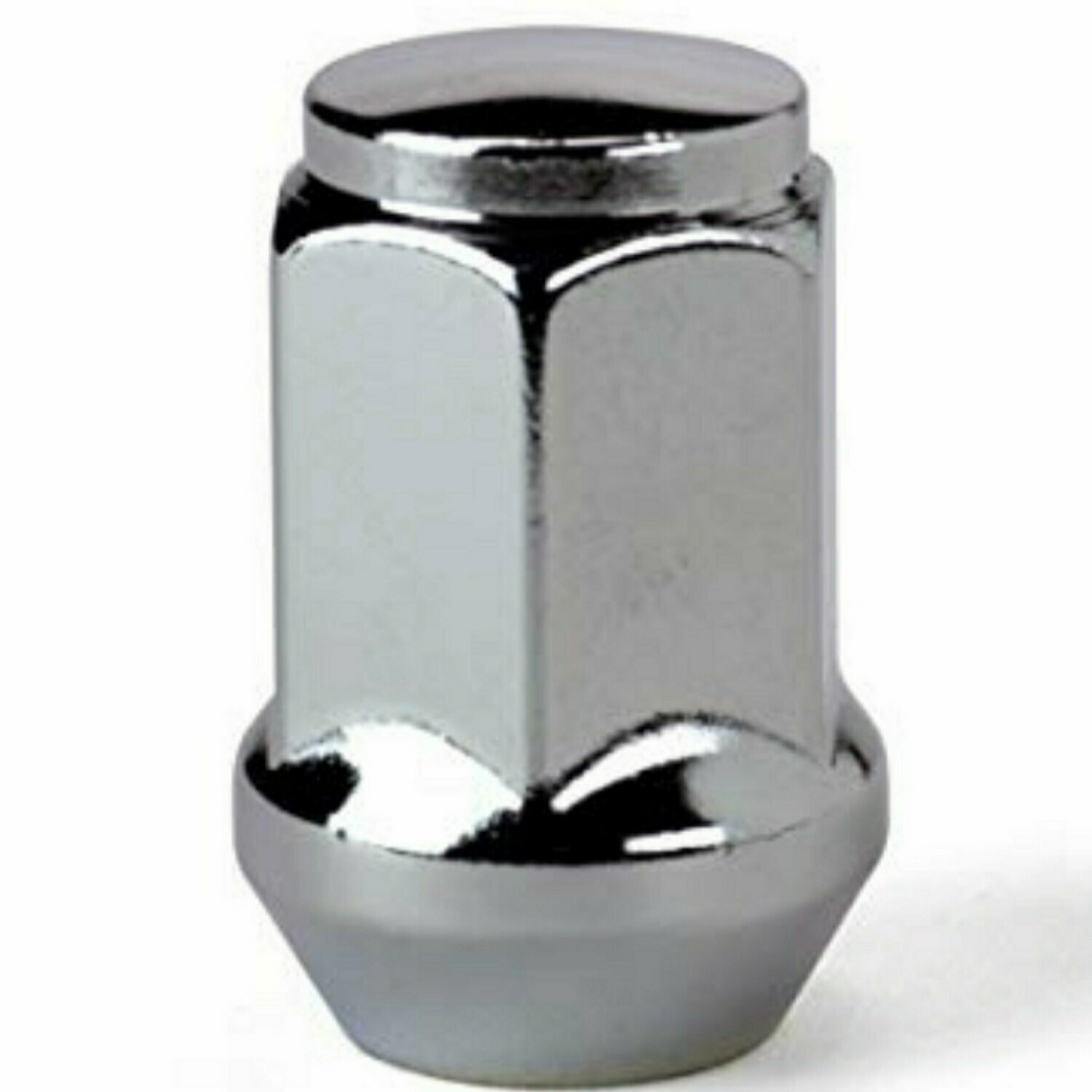 1/2in-20 Stainless Lug Nut 13/16 in OD - F1905