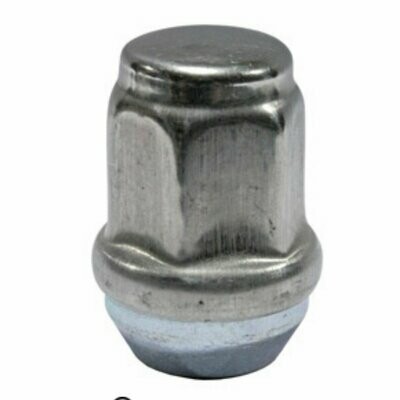 1/2in-20 Stainless Lug Nut 12SSLN