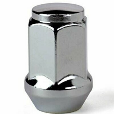 1/2in-20 Stainless Lug Nut 13/16 in OD - F1905